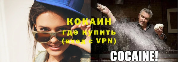 стафф Арсеньев