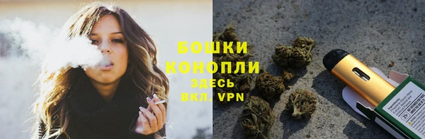 spice Аркадак
