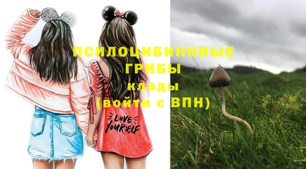 PSILOCYBIN Алзамай