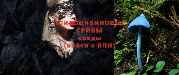 шишки Абдулино