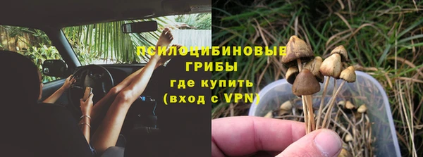 марки lsd Абаза