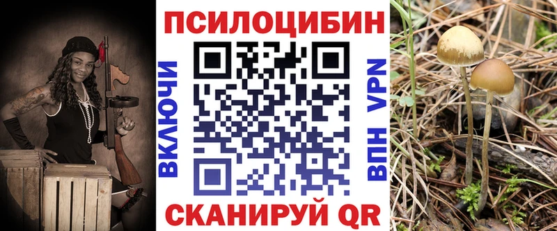 цена   Усть-Илимск  hydra как войти  Галлюциногенные грибы Psilocybine cubensis 